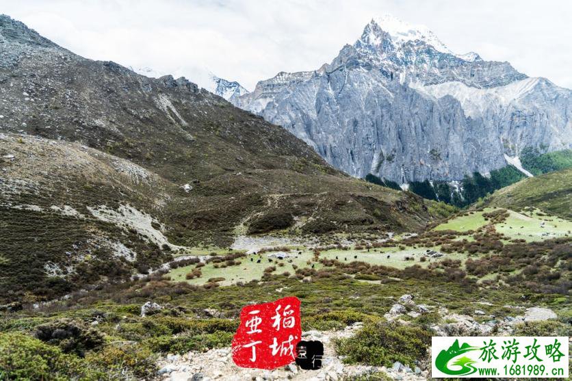 稻城亚丁有什么好玩的 稻城亚丁旅游攻略2017 稻城亚丁有什么好玩的 稻城亚丁旅游攻略2017
