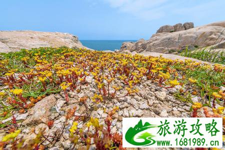 东极岛有什么旅游景点 东极岛自驾游攻略2017 东极岛有什么旅游景点 东极岛自驾游攻略2017