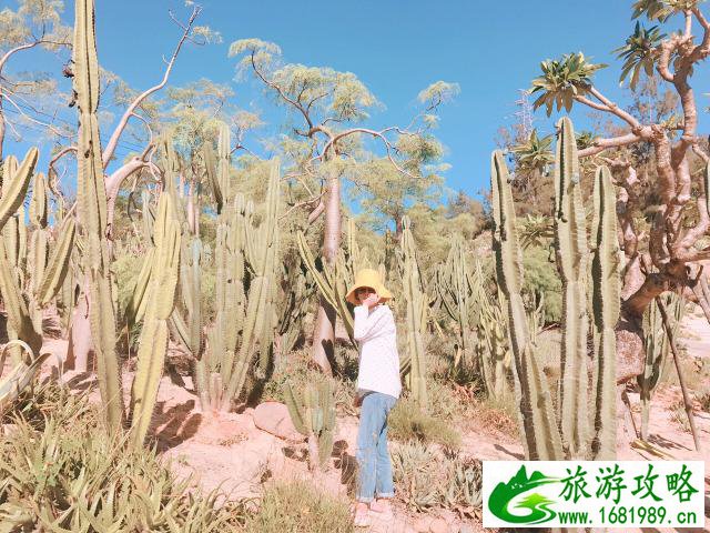 厦门植物园好玩吗 厦门植物园学生门票多少钱 厦门植物园好玩吗 厦门植物园学生门票多少钱