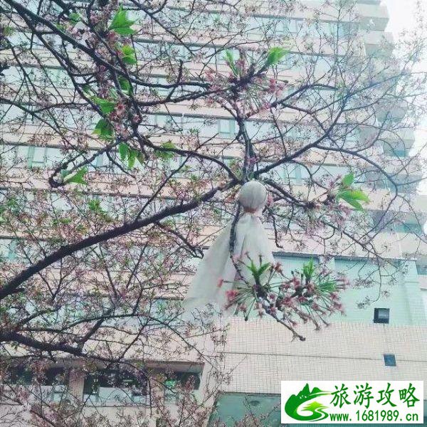 武汉有哪些值得去地方 武汉有哪些值得去地方