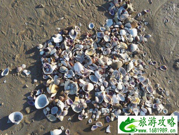 平潭岛有什么好玩的 平潭岛在哪里 平潭岛有什么好玩的 平潭岛在哪里