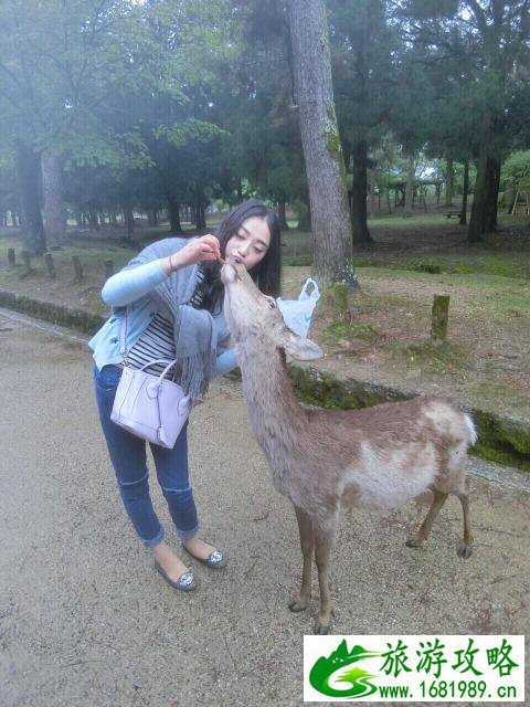 去日本自由行安全吗 去日本自由行安全吗