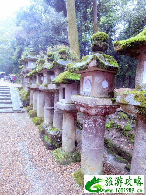 去日本自由行安全吗 去日本自由行安全吗