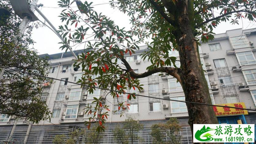 恩施有哪些旅游景点 恩施有什么好玩的
