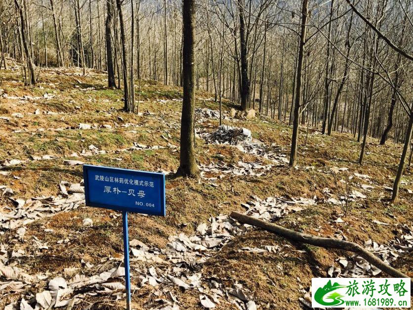恩施有哪些旅游景点 恩施有什么好玩的
