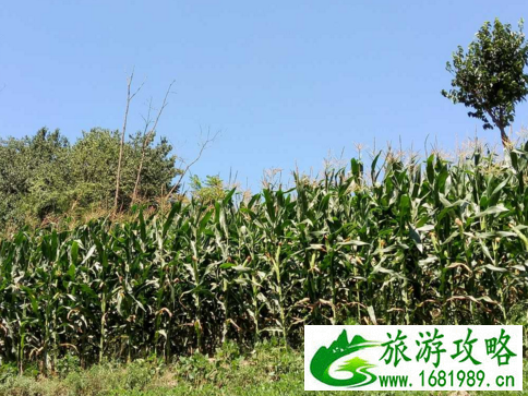 红岩岭在哪儿 2017红岩岭有什么好玩的 红岩岭凉爽吗 红岩岭在哪儿 2017红岩岭有什么好玩的 红岩岭凉爽吗