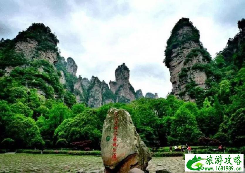 去张家界旅游需要注意什么 张家界旅游注意事项大全 去张家界旅游需要注意什么 张家界旅游注意事项大全