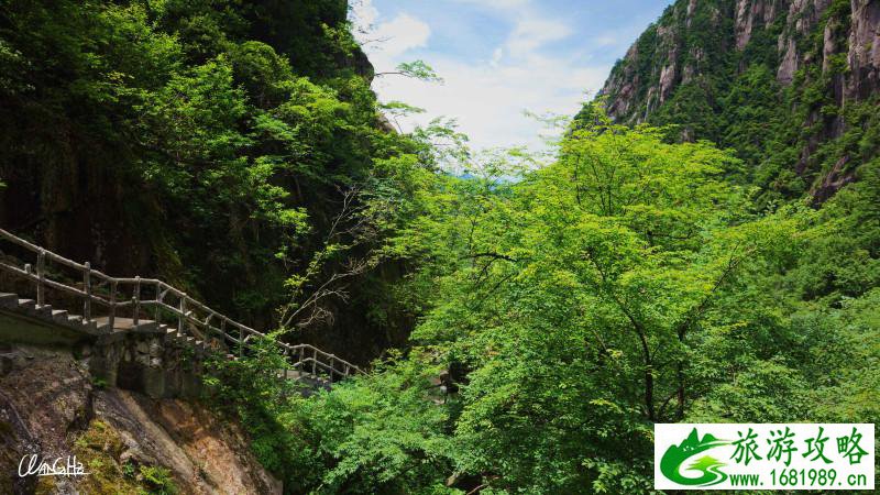 黄山有哪些著名景点 黄山旅游攻略2017 黄山有哪些著名景点 黄山旅游攻略2017