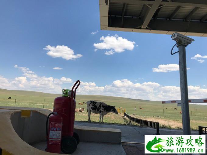 锡林郭勒盟有哪些景点 锡林郭勒盟有什么好玩的 锡林郭勒盟有哪些景点 锡林郭勒盟有什么好玩的