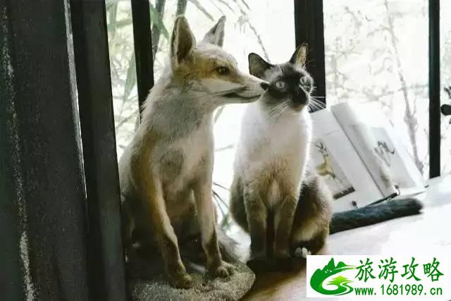 曼谷旅游住宿攻略2017 曼谷旅游住宿攻略2017