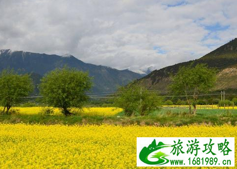 2017林芝有哪些值得游玩的地方 什么时候去林芝最好 2017林芝有哪些值得游玩的地方 什么时候去林芝最好