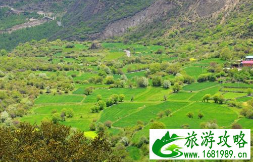 2017林芝有哪些值得游玩的地方 什么时候去林芝最好 2017林芝有哪些值得游玩的地方 什么时候去林芝最好