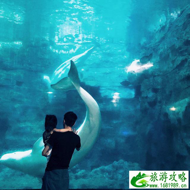 杭州周边亲子游景点推荐