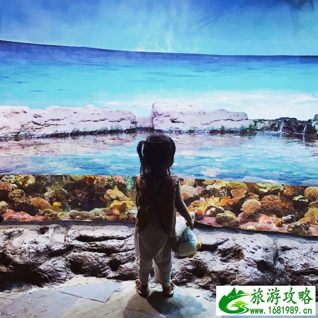 杭州周边亲子游景点推荐
