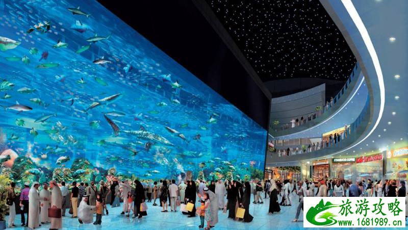 阿联酋有哪些旅游景区 阿联酋旅游攻略2017 阿联酋有哪些旅游景区 阿联酋旅游攻略2017