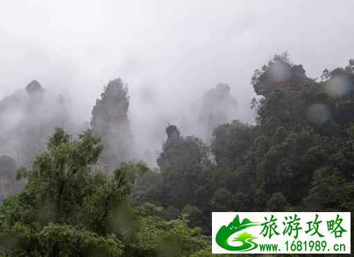 2017张家界在湖南哪里 张家界旅游需要多少钱 