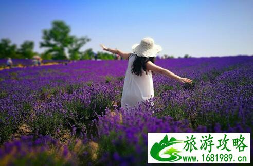 北海道有哪些景点 北海道旅游攻略2017 北海道有哪些景点 北海道旅游攻略2017