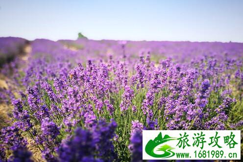 北海道有哪些景点 北海道旅游攻略2017 北海道有哪些景点 北海道旅游攻略2017