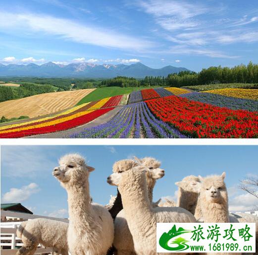 北海道有哪些景点 北海道旅游攻略2017 北海道有哪些景点 北海道旅游攻略2017