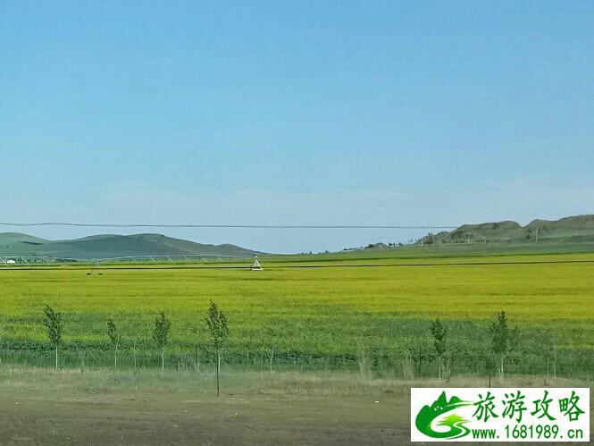 呼伦贝尔有什么好玩的 呼伦贝尔旅游攻略2017