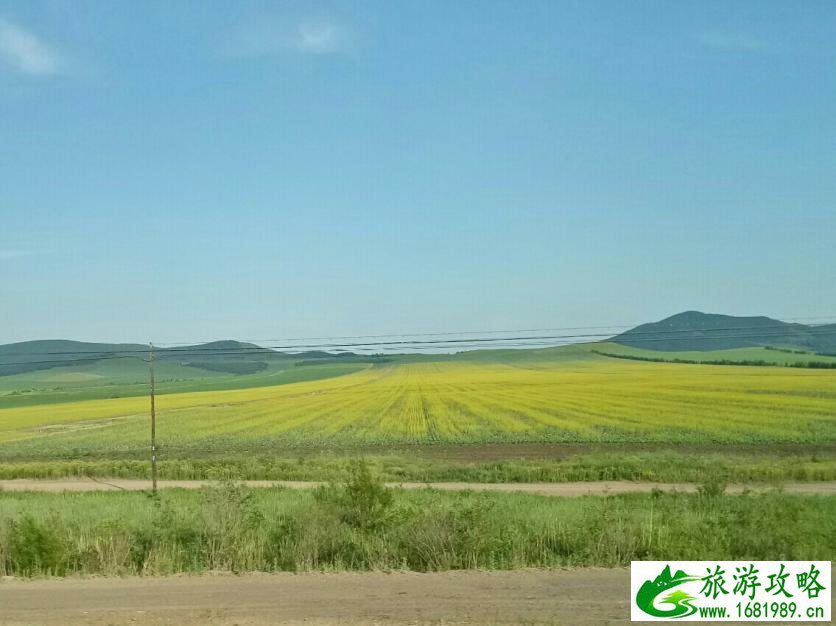 呼伦贝尔有什么好玩的 呼伦贝尔旅游攻略2017