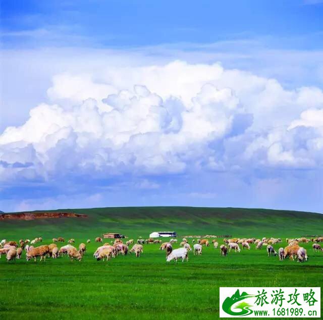 呼伦贝尔自驾游攻略 呼伦贝尔六日游攻略 呼伦贝尔自驾游攻略 呼伦贝尔六日游攻略