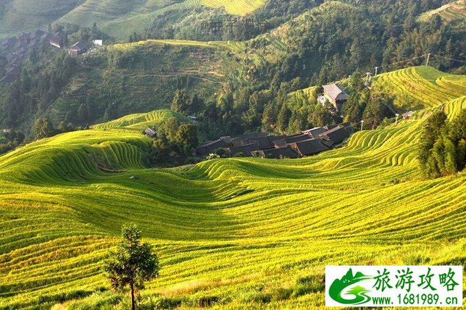 桂林有哪些旅游景点 桂林旅游攻略2017
