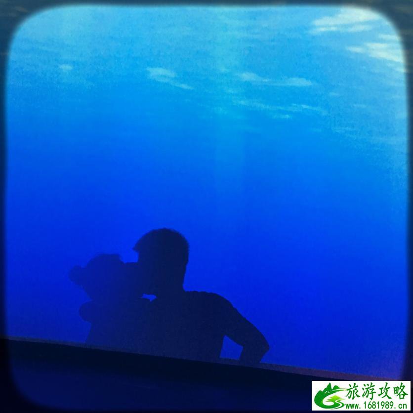 七星海世界有什么好玩的 七星海世界好玩吗 七星海世界有什么好玩的 七星海世界好玩吗