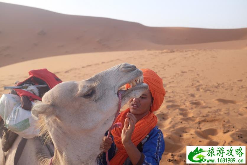 摩洛哥旅游攻略2017 摩洛哥哪里好玩