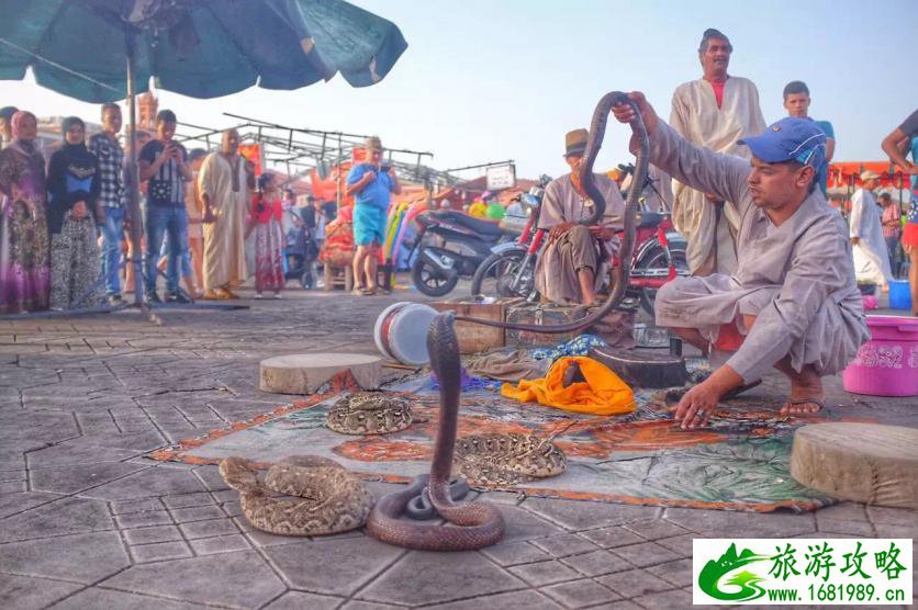 摩洛哥旅游攻略2017 摩洛哥哪里好玩