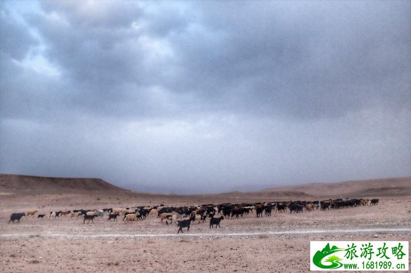 摩洛哥旅游攻略2017 摩洛哥哪里好玩