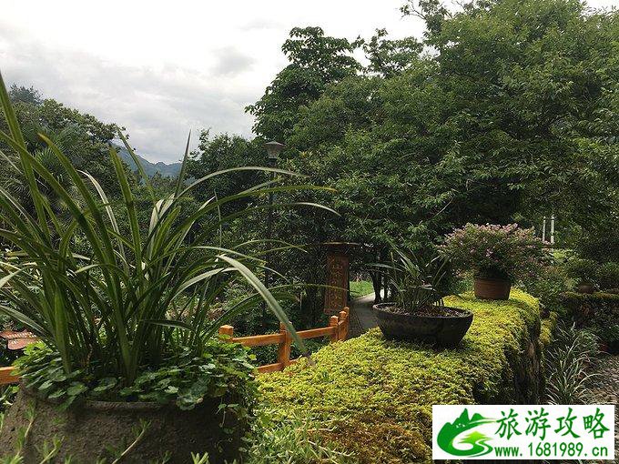 景宁有什么好玩的 景宁旅游攻略2017 景宁有什么好玩的 景宁旅游攻略2017