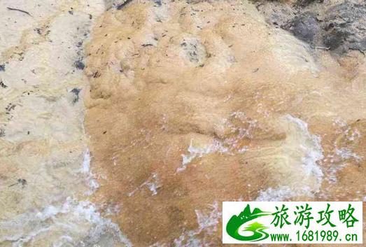 黄龙景区有什么好玩的  黄龙景区在哪儿  五彩池好看吗