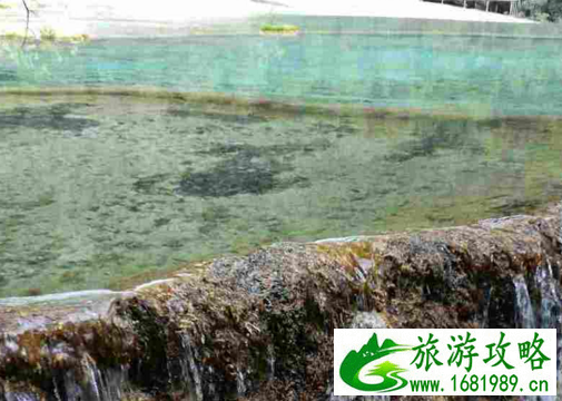 黄龙景区有什么好玩的  黄龙景区在哪儿  五彩池好看吗