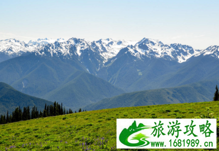 美国西雅图怎么样 奥林匹克国家公园好玩吗 美国西雅图怎么样 奥林匹克国家公园好玩吗