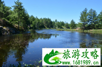 加拿大六里湖Six Mile Lake旅游攻略 加拿大六里湖Six Mile Lake旅游攻略
