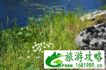 加拿大六里湖Six Mile Lake旅游攻略 加拿大六里湖Six Mile Lake旅游攻略