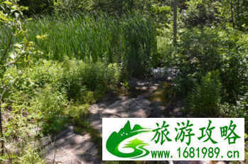 加拿大六里湖Six Mile Lake旅游攻略 加拿大六里湖Six Mile Lake旅游攻略
