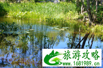 加拿大六里湖Six Mile Lake旅游攻略 加拿大六里湖Six Mile Lake旅游攻略