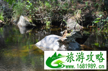 加拿大六里湖Six Mile Lake旅游攻略 加拿大六里湖Six Mile Lake旅游攻略