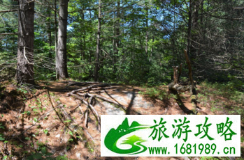 加拿大六里湖Six Mile Lake旅游攻略 加拿大六里湖Six Mile Lake旅游攻略