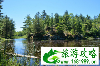 加拿大六里湖Six Mile Lake旅游攻略 加拿大六里湖Six Mile Lake旅游攻略