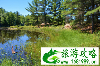 加拿大六里湖Six Mile Lake旅游攻略 加拿大六里湖Six Mile Lake旅游攻略