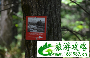 加拿大六里湖Six Mile Lake旅游攻略 加拿大六里湖Six Mile Lake旅游攻略