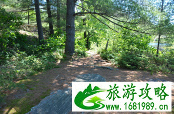 加拿大六里湖Six Mile Lake旅游攻略 加拿大六里湖Six Mile Lake旅游攻略