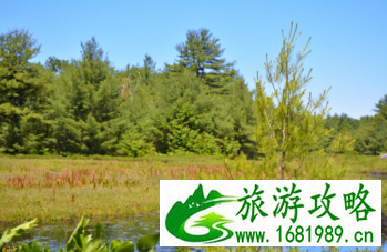 加拿大六里湖Six Mile Lake旅游攻略 加拿大六里湖Six Mile Lake旅游攻略