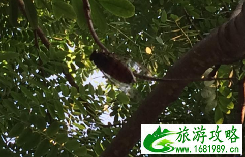 高黎贡山在哪儿 高黎贡山有什么好玩的景点