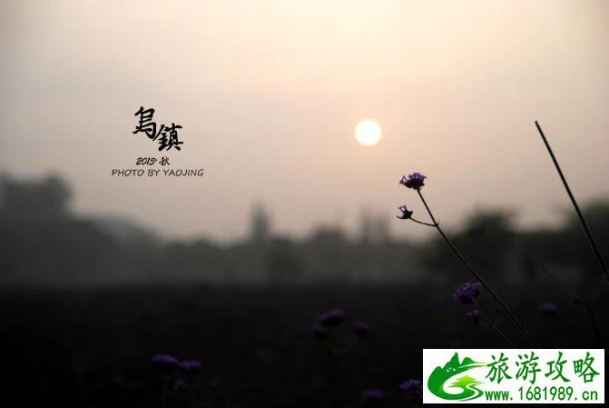 乌镇有哪些好玩的景点 乌镇哪里好玩 乌镇有哪些好玩的景点 乌镇哪里好玩