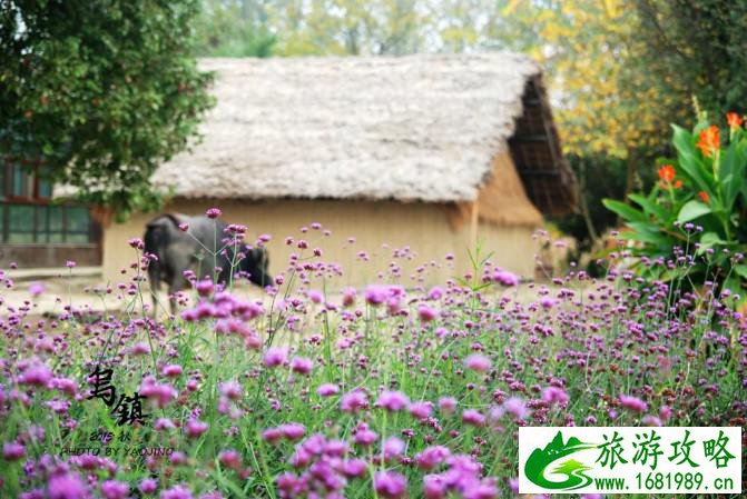 乌镇有哪些好玩的景点 乌镇哪里好玩 乌镇有哪些好玩的景点 乌镇哪里好玩