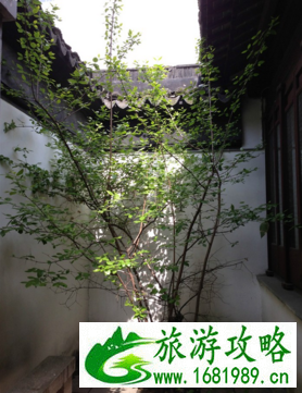 阳澄湖有什么好玩的 阳澄湖有什么好吃的 阳澄湖有什么好玩的 阳澄湖有什么好吃的